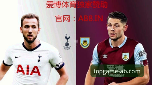 最新爱博体育投注平台 AB爱博娱乐体育平台 vs 传统投注平台:顶级赛事体验的全面对比分析